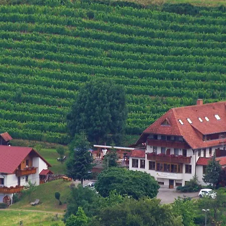 Wisser's Sonnenhof Garni 3* غلوترال