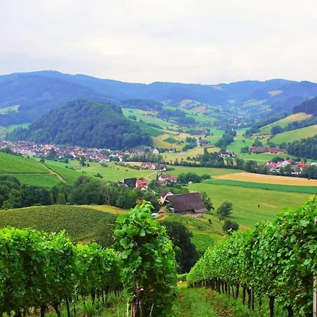 Wisser'S Sonnenhof Landhotel Garni Glottertal